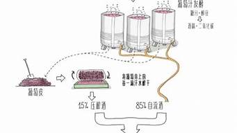 葡萄酒是怎么酿成的_葡萄酒是怎么酿成的视