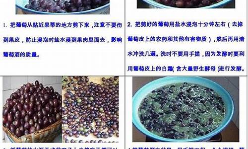 高级葡萄酒的制作方法_高级葡萄酒的制作方法视频